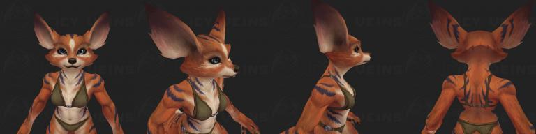 ears 5f.jpg
